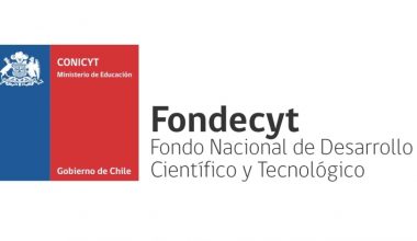 Joaquín Gaete de Psicología UAI se adjudica FONDECYT de iniciación
